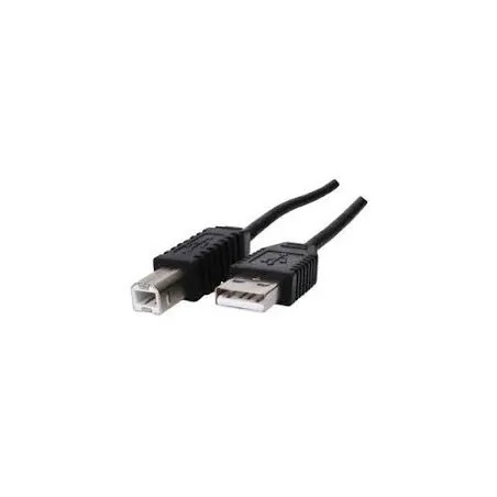 -cordon-usb-a-b-20-hq- (1).webp