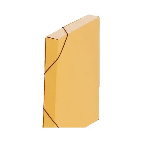 -lot-de-10-chemises-boites-sicla-en-carte-lustree-dos4cm- (2).webp