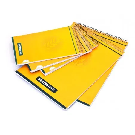 Lot de 5 Blocs de bureau Mintra A5
