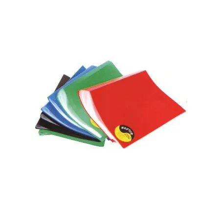 [60 vues] Lot de 12 Portes-vues BOSTON A4 30 pochettes 60 vues Coloris au choix