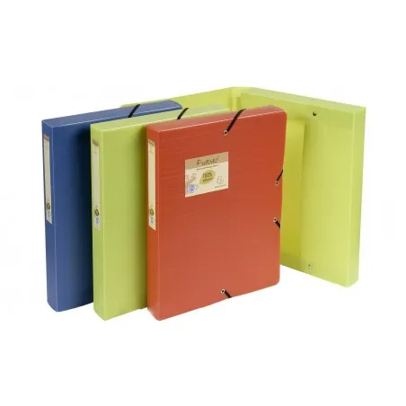[Chemises-boites] Lot de 10 Chemises-boites SICLA en polypropylène Dos:4cm