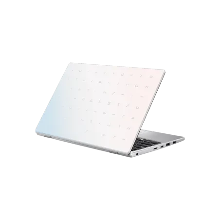 ASUS E210M CELERON-N4020 11.6 HD 4G 128 Go SSD