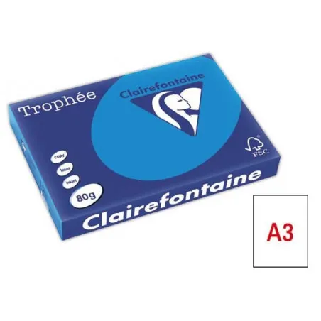 [80g/m²] Lot de 5 Ramettes papier couleur TROPHEE A3 80g/m² 500F Coloris au choix